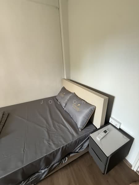 Cavenagh Gardens, 69 Cavenagh Road, Room Rental, 150 sqft, Apartment For Rent, by Joe Ong, 25525018 - PropertyGuru.com.sg