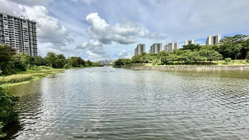 Stroll to Park Connector along the river from back gate