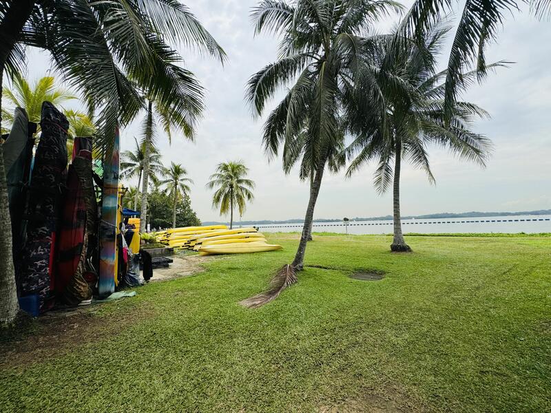 For Sale - Cheaper rare huge land with wide frontage & regular shape, only $10xx psf