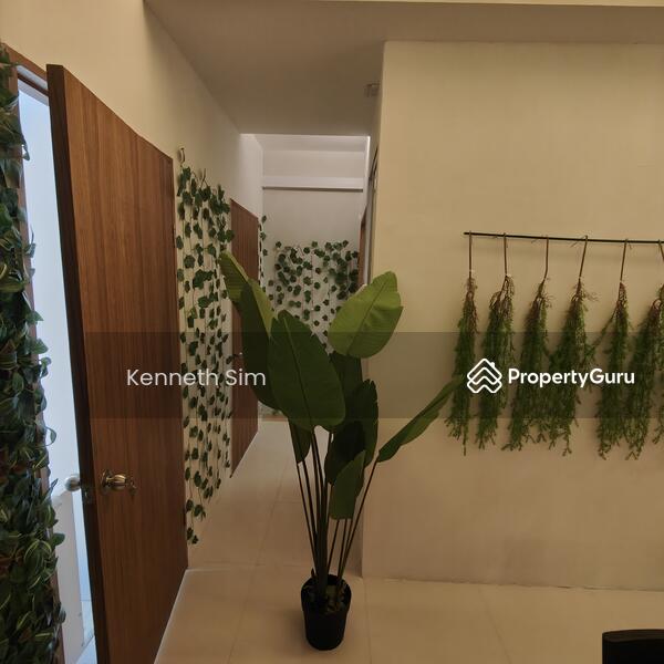 Cosy home with greenery 