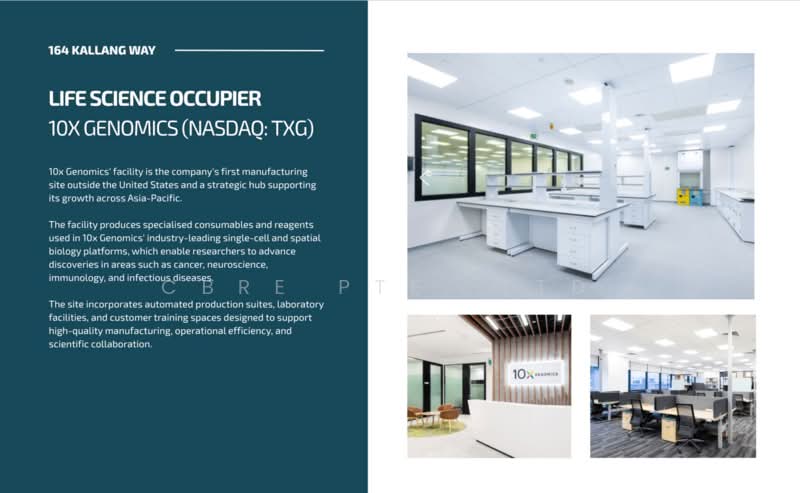 Solaris @ Kallang 164, 164 Kallang Way, 2,920 sqft, Factory / Workshop (B2) For Rent, by WALLACE, 25530062 - CommercialGuru.com.sg
