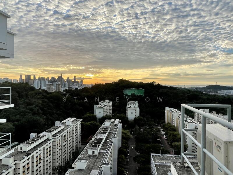 View