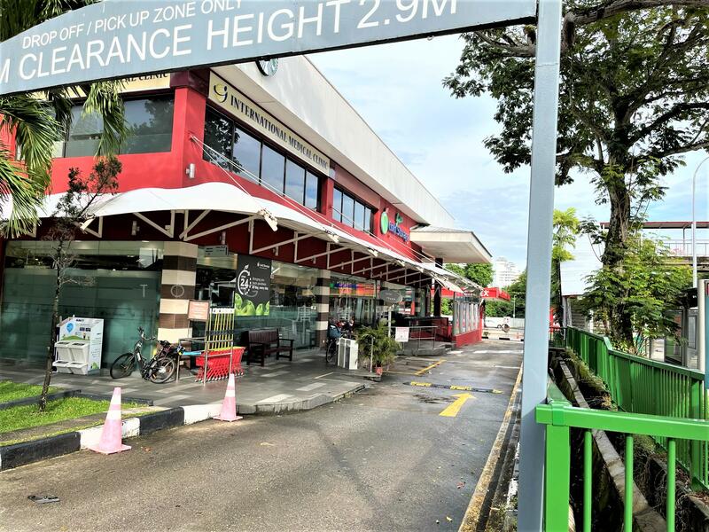 ❤️MASTERPIECE IS READY !! FH Semi-D, Lap Pool & Lift, 1-km Henry Pk, Dover MRT☎️9654.3774 TONG, 1-km Henry Pk Pri/ Dover MRT / Holland Grove, 7 Bedrooms, 8,500 sqft, Semi-Detached House For Sale, by Tong Kai Meng 唐皆明, 25539201 - Exterior - PropertyGuru.com.sg