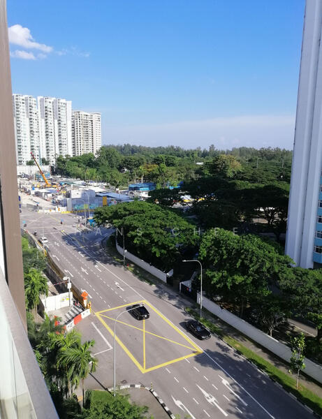 View