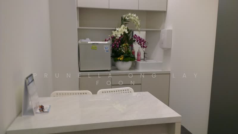 Mount Elizabeth Novena Hospital, 38 Irrawaddy Road, 100 sqft, Medical For Rent, by Prunella Ong Lay Foon, 25539586 - CommercialGuru.com.sg