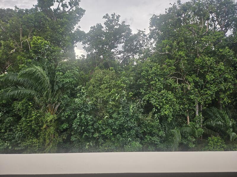 ⭐️⭐️LANDED7772@Newly Launched Brand New Semi D Facing Nature Reserve Semi-Detached House For Sale at S$ 4,480,000 | PropertyGuru Singapore