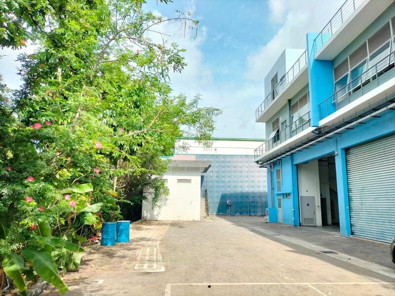 Long Lease Terrace Factory For Sale / Rent, , 6,000 sqft, Factory / Workshop (B2) For Sale, by Anabil Tan, 25541154 - CommercialGuru.com.sg