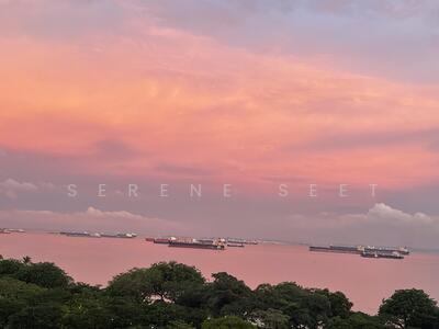 For Sale - 14 Marine Terrace