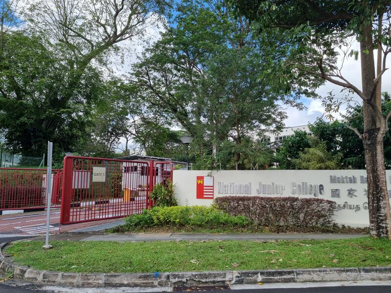 ⭐️⭐️⭐️ BRAND NEW SEMI DETACHED BUILT BY TOP NOTCH DEVELOPER ⭐️ 高档豪华全新半独立 ☎️ 9450-7174, Hillcrest Road, 5 Bedrooms, 6,760 sqft, Semi-Detached House For Sale, by Keith Lim, 25543818 - National Junior College - PropertyGuru.com.sg