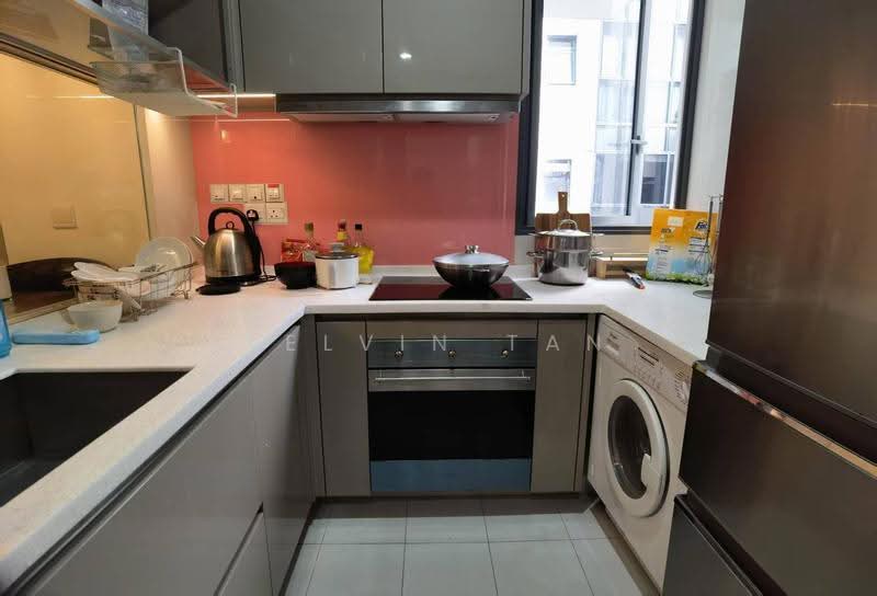 Sophia Hills, 19 Mount Sophia, Orchard / River Valley, Room Rental, 100 sqft, Condominium For Rent, by Kelvin Tan, 25544789 - Kitchen - PropertyGuru.com.sg