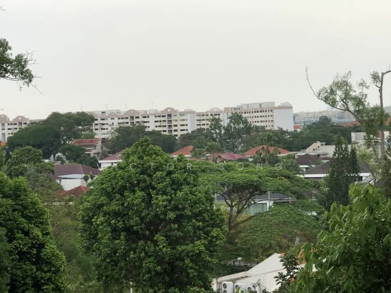 D10 Tanglin vicinity GCB near Orchard and Botanic Garden, Tanglin / Ridley / Chatsworth road / Hill / Cluny, 6 Bedrooms, 8,100 sqft, Good Class Bungalow For Rent, by Victor Song, 25547185 - PropertyGuru.com.sg
