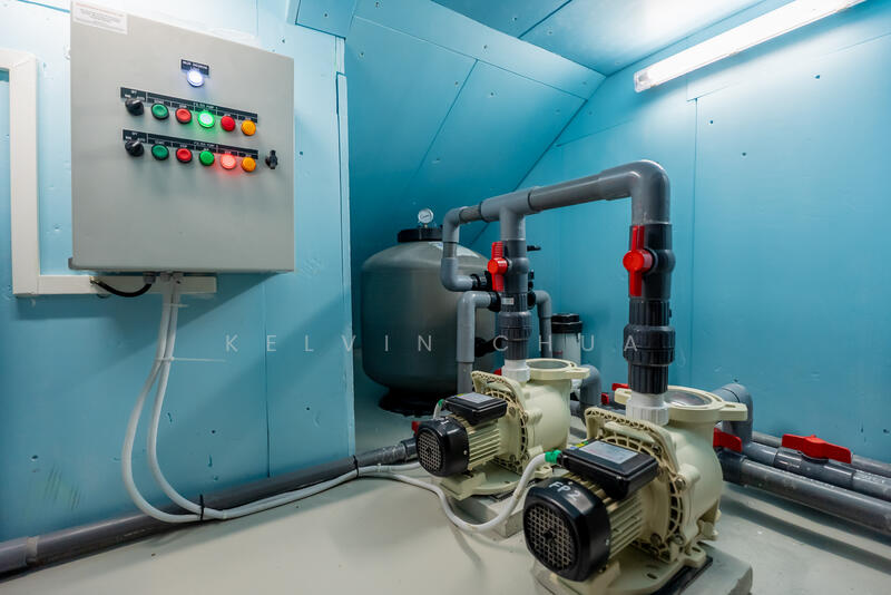 Pool Dual Motor & Filtration System