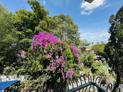 For Sale - For Rebuild Elite Park / Upper East Coast / Siglap / Frankel / Coldstream / Dunbar Walk / Figaro