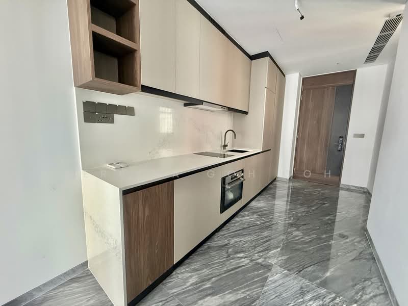 Grange 1866, 74 Grange Rd, 2 Bedrooms, 710 sqft, Condominium For Sale, by Serbina Goh Goh, 25551968 - Kitchen - PropertyGuru.com.sg