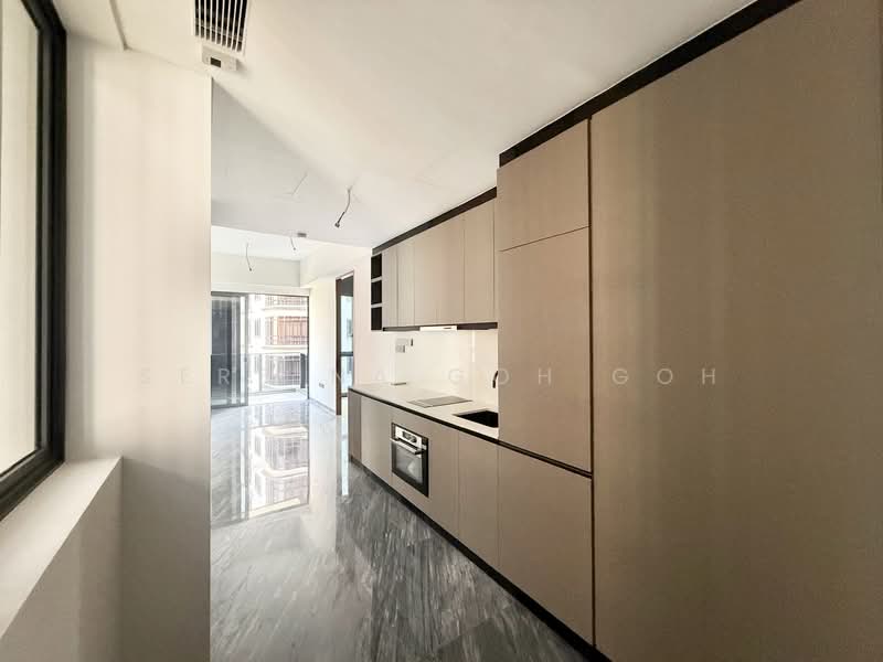 Grange 1866, 74 Grange Rd, 2 Bedrooms, 710 sqft, Condominium For Sale, by Serbina Goh Goh, 25551968 - Kitchen - PropertyGuru.com.sg