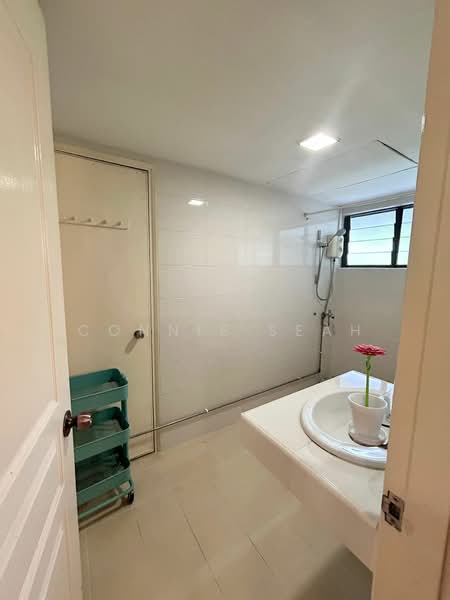 Teresa Ville, 1005 Lower Delta Road, Room Rental, 180 sqft, Condominium For Rent, by Connie Seah, 25552025 - PropertyGuru.com.sg