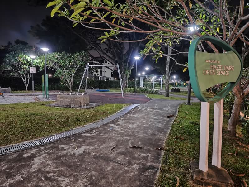 Hazel Park Condo, 21 Hazel Park Condo, Room Rental, 200 sqft, Condominium For Rent, by Philip Tan, 25554544 - PropertyGuru.com.sg