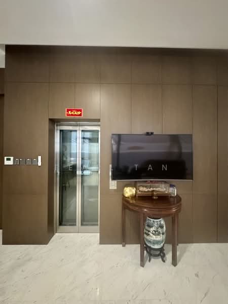 ❤️❤️SOLE AGENT -BRAND NEW SEMI-DETACHED OFF HOLLAND RD WITHIN 1 KM HENRY PARK PRI Semi-Detached House For Sale at S$ 13,800,000 | PropertyGuru Singapore