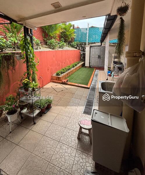 Garden backyard 