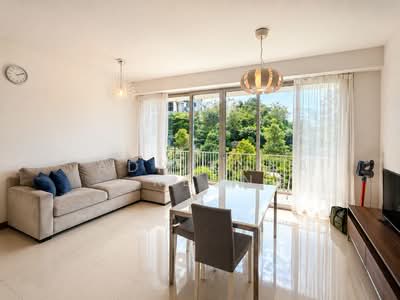 For Rent - Tree House