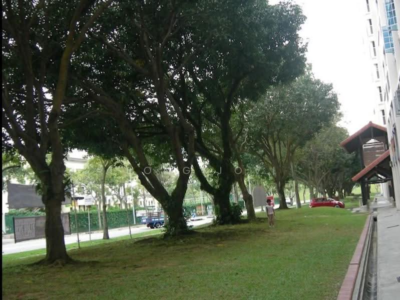 865 Yishun Street 81, 865 Yishun Street 81, Sembawang / Yishun, Room Rental, 250 sqft, HDB Flat For Rent, by Leong Jovi, 25558269 - Garden - PropertyGuru.com.sg