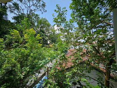 For Sale - ⭐Nassim⭐Fernhill⭐Bungalow⭐2xxx psf⭐