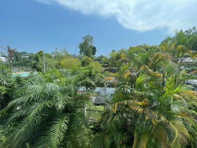 For Sale - RARE! NASSIM VICINITY BUNGALOW!