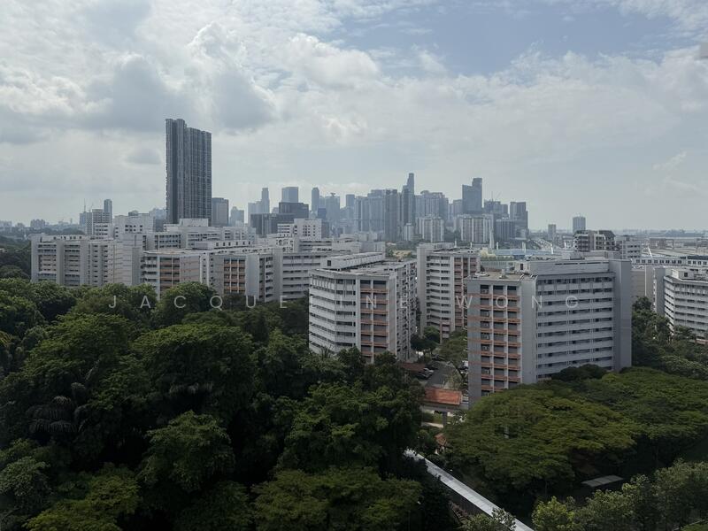 Panoramic View 