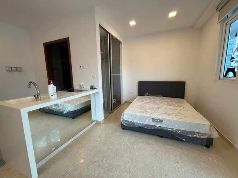 Prestige Heights, 348 Balestier Road, Studio, 334 sqft, Apartment For Rent, by Esther Chay, 25565207 - PropertyGuru.com.sg