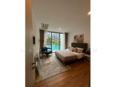 For Sale - Skies Miltonia