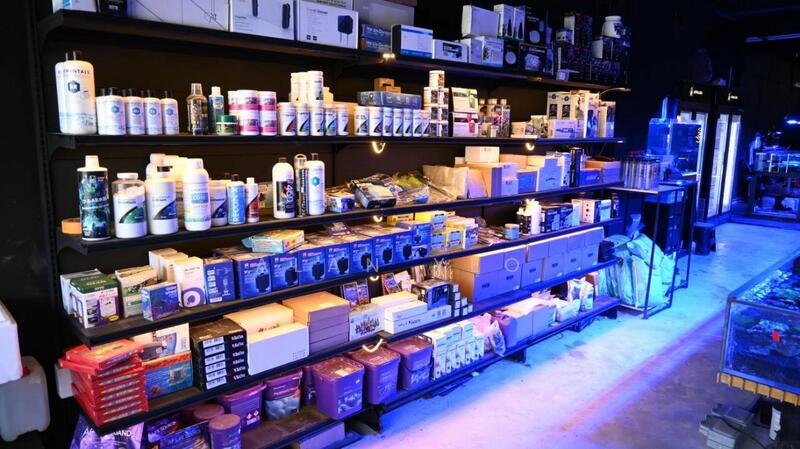 534968, Upper Paya Lebar Road, Hougang / Punggol / Sengkang, 1,865 sqft, Shop / Shophouse For Sale, by Alan Yeo, 25566599 - Others - CommercialGuru.com.sg