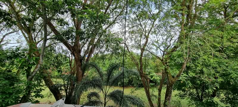 Clementi Park, 95 Sunset Way, 2 Bedrooms, 1,163 sqft, Condominium For Rent, by Melvin Auspicious Lee 李俊豪, 25572077 - PropertyGuru.com.sg