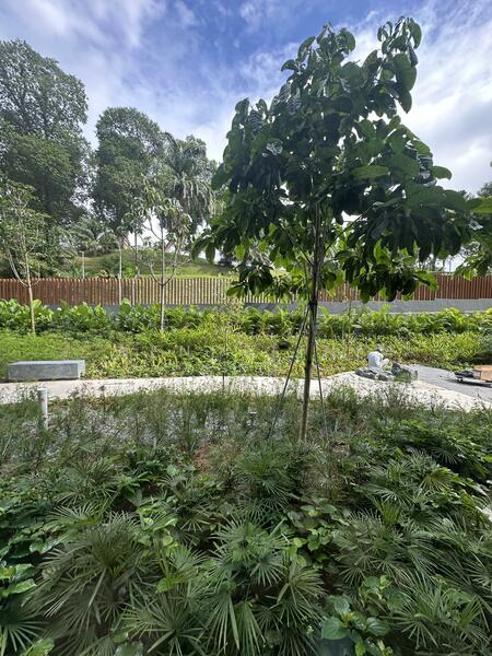 For Sale - KI Residences At Brookvale