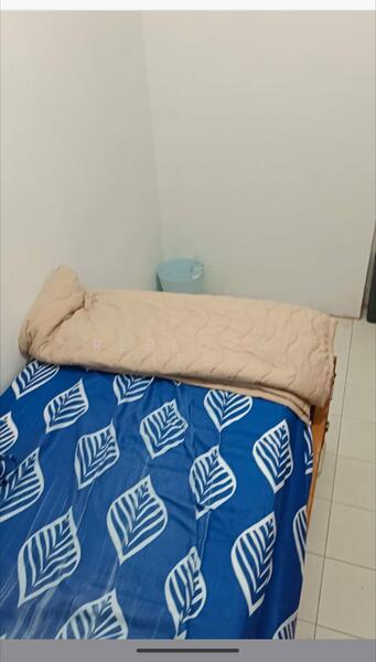 Pine Grove, 1A Pine Grove, Room Rental, 300 sqft, Condominium For Rent, by Rebecca Lee, 25572930 - Bedroom - PropertyGuru.com.sg