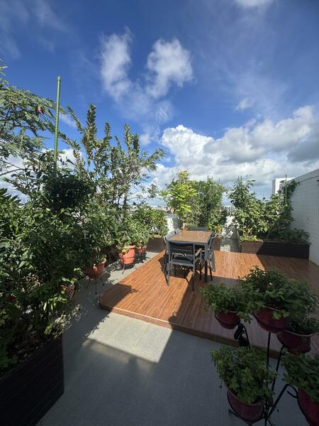 Roof