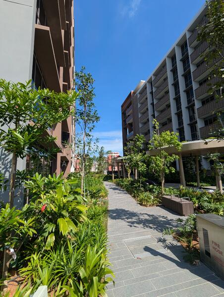 Pasir Ris 8, 10 Pasir Ris Drive 8, 2 Bedrooms, 775 sqft, Condominium For Rent, by Tay Yixian, 25573783 - Garden - PropertyGuru.com.sg