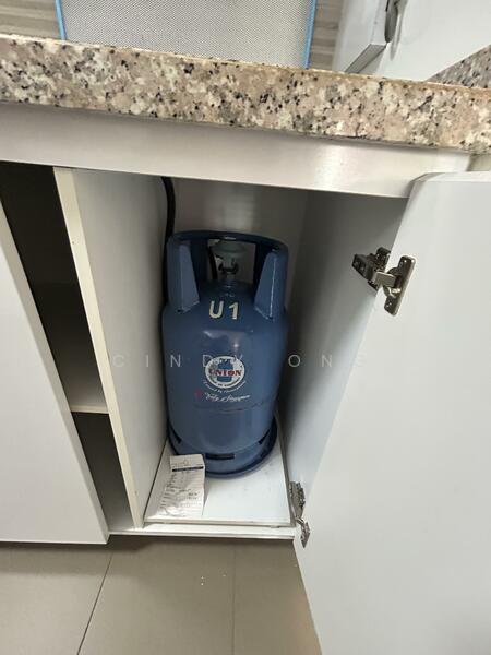 Gas cooker using LPG (gas cylinder)