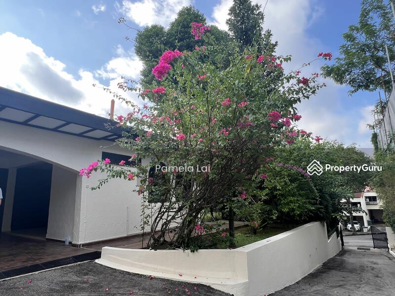 For Rent - Leedon Road