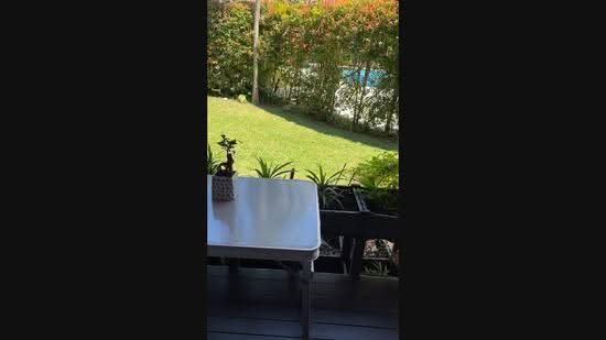 The Springfield, Chempaka Kuning Link, Bedok / Upper East Coast, 3 Bedrooms, 2,336 sqft, Corner Terrace For Sale, by Josephine Ng, 25574431 - PropertyGuru.com.sg