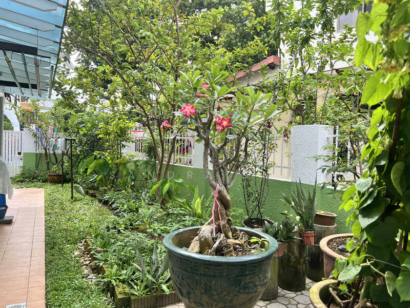 SUNRISE AVENUE Semi-Detached House For Sale at S$ 7,100,000 | PropertyGuru Singapore - Garden