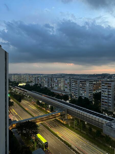 View