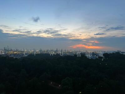 For Sale - Normanton Park