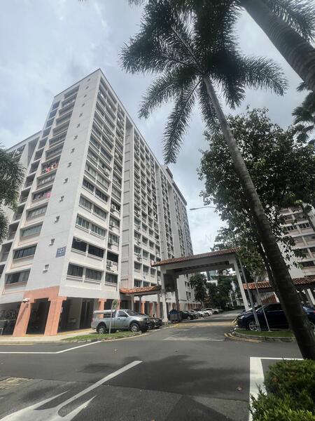 For Sale - 123 Mcnair Road