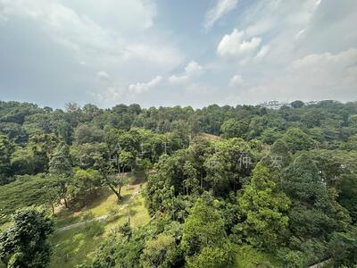 For Sale - Normanton Park