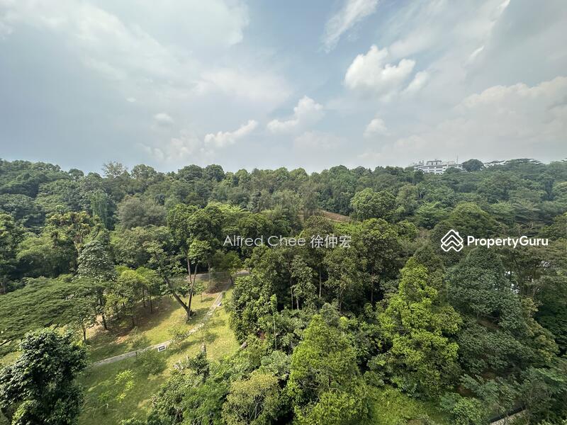 Unblock Greenery View! Nature Living