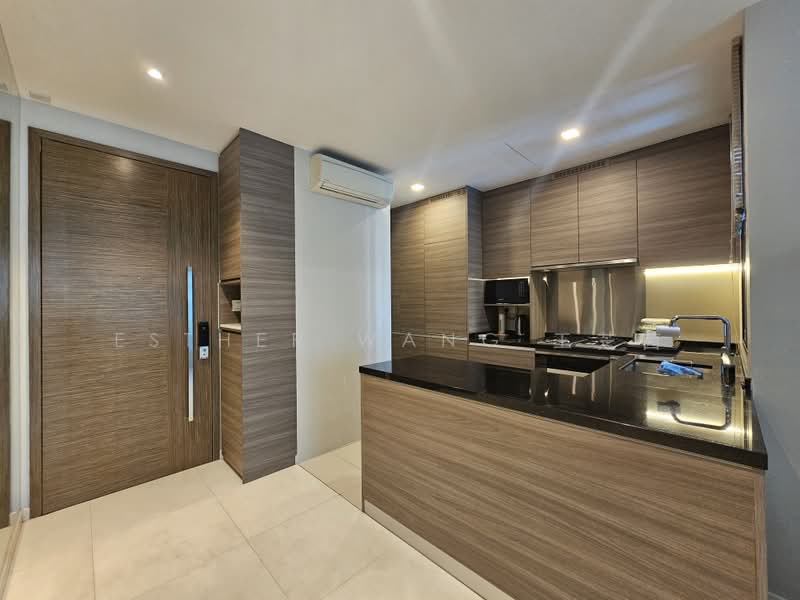 8 Saint Thomas, 10 Saint Thomas Walk, 2 Bedrooms, 807 sqft, Condominium For Rent, by Esther Wang 王芝茵, 25583259 - Kitchen - PropertyGuru.com.sg