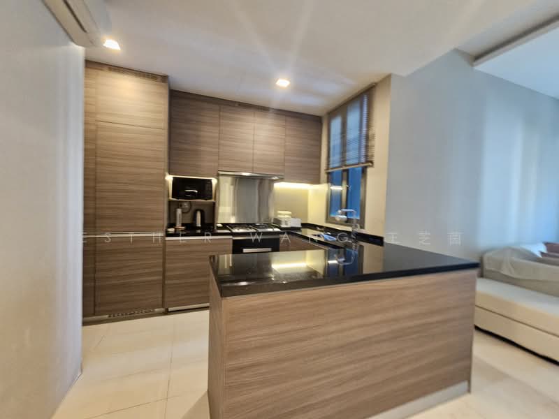 8 Saint Thomas, 10 Saint Thomas Walk, 2 Bedrooms, 807 sqft, Condominium For Rent, by Esther Wang 王芝茵, 25583259 - Kitchen - PropertyGuru.com.sg