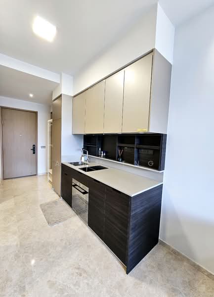 Haus On Handy, 28 Handy Road, 1 Bedroom, 517 sqft, Condominium For Rent, by Adam Tng, 25583718 - Kitchen - PropertyGuru.com.sg