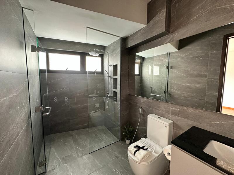 For Sale - Brand New Inter Terrace Joo Chiat Place