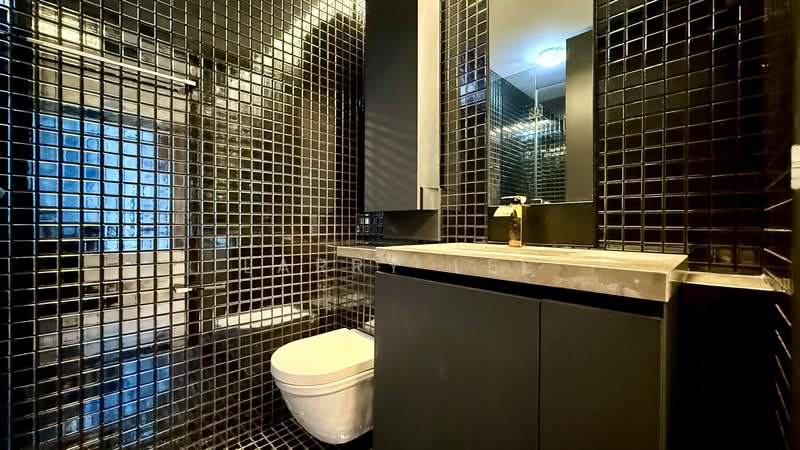 Skysuites @ Anson, 8 Enggor Street, Studio, 366 sqft, Condominium For Rent, by Larry Lee, 25584140 - Bathroom - PropertyGuru.com.sg